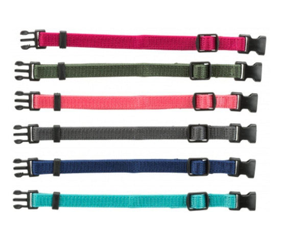 Junior Set collier pour chiot