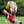 Disc dog trixie