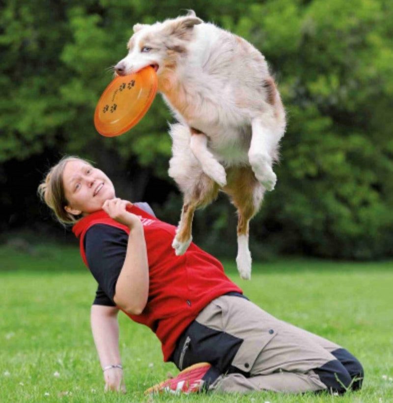Disc dog trixie