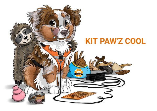 KIT PAW'Z Chiot
