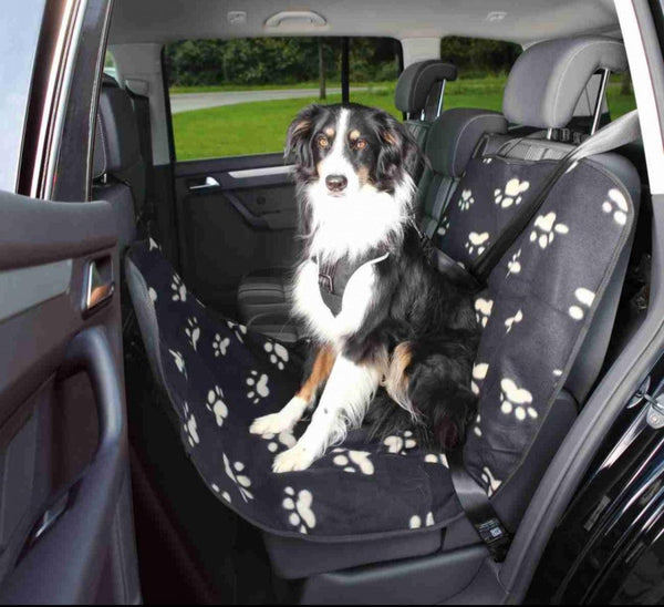 Protege siege de voiture