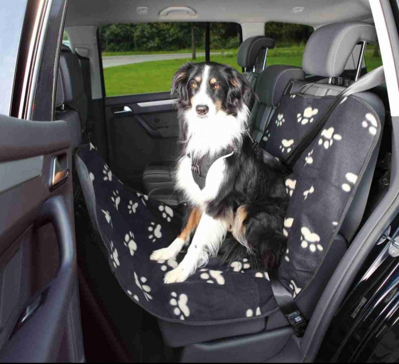 Protege siege de voiture