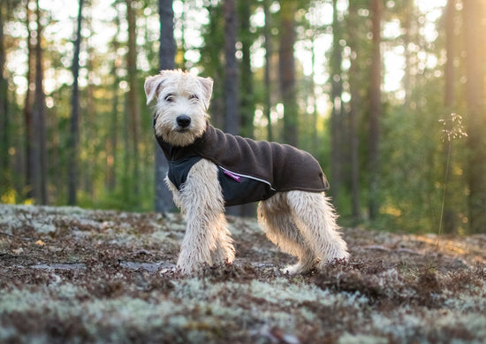 jumppapomppa (polaire)