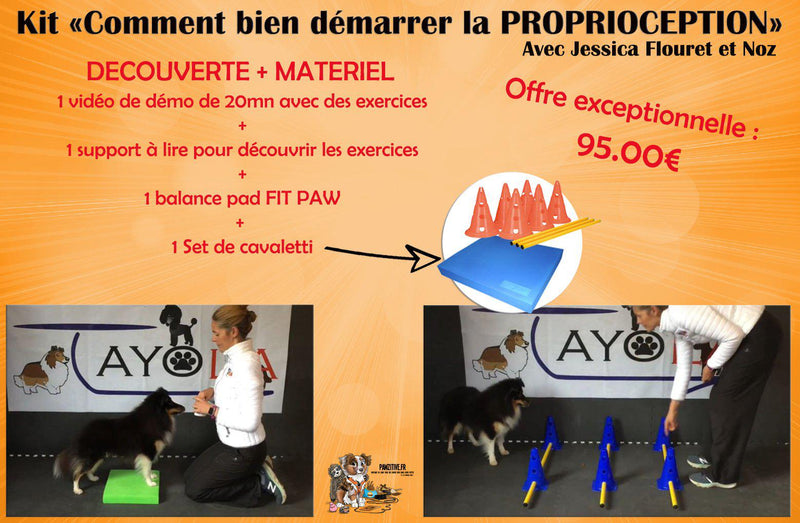 kit "comment bien démarrer la proprioception" avec Jessica Flouret
