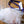 Tug touffu grand mouton