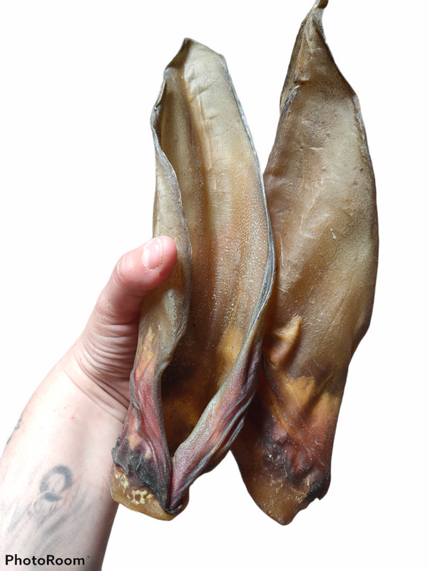 Oreilles de bœuf SANS poil x5