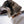 COLLIER DOG COPENHAGEN URBAN STYLE - Pawzitive