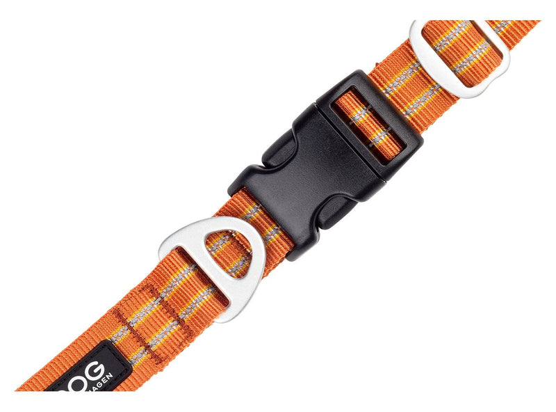 COLLIER DOG COPENHAGEN URBAN STYLE - Pawzitive
