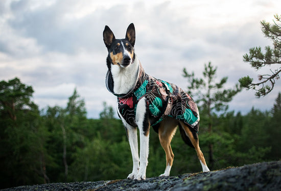 KEVYT POMPPA mi saison (temps froid / humide)