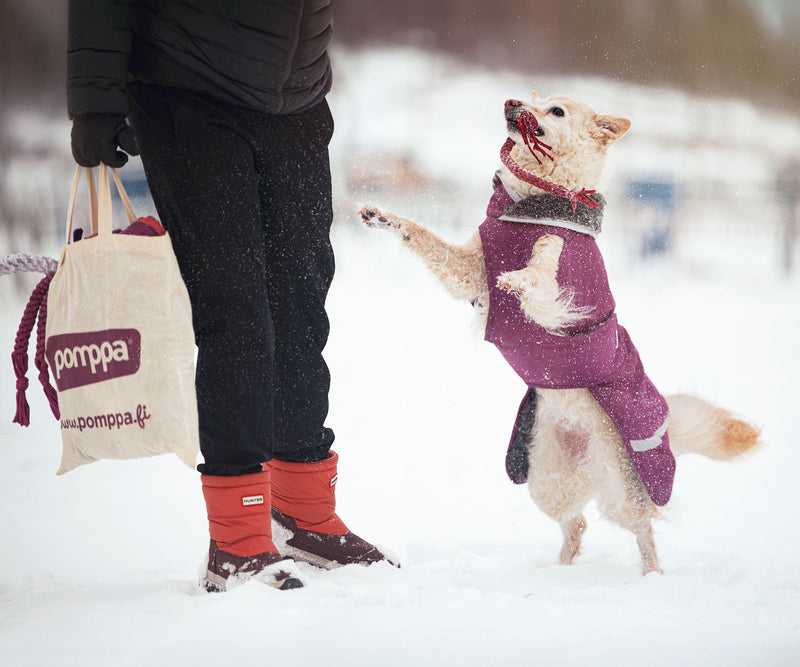 TOPPA POMPPA ( temps hivernale +++)