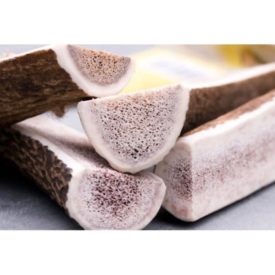 Bois de Cerf Fendu (5 tailles) - Pawzitive