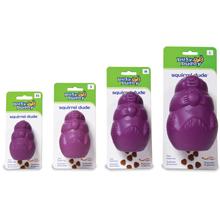 l'écureuil a friandises squirrel dude