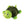Peluche KONG - Tortue - Pawzitive