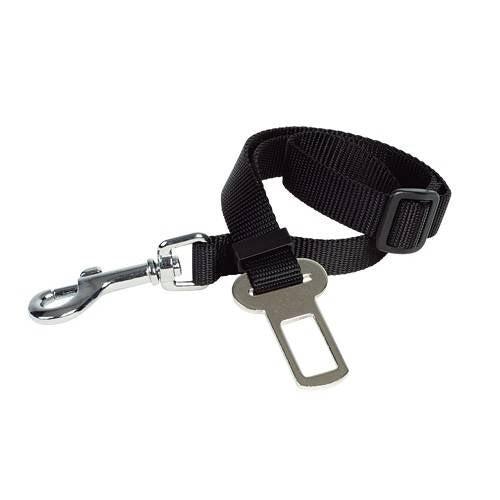 Ceinture de sécurité pour chien