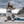 Laisse DOG COPENHAGEN Urban Freestyle