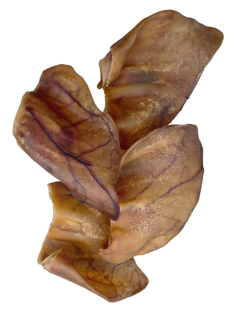 Oreilles de cochon - Pawzitive