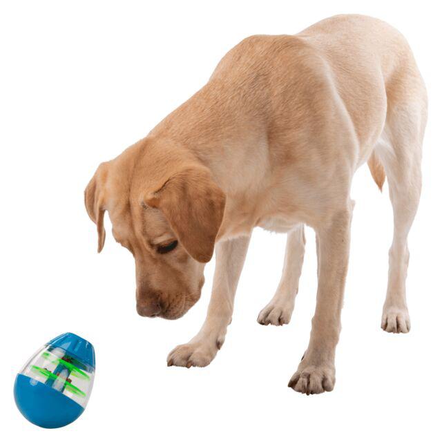Oeuf culbuto