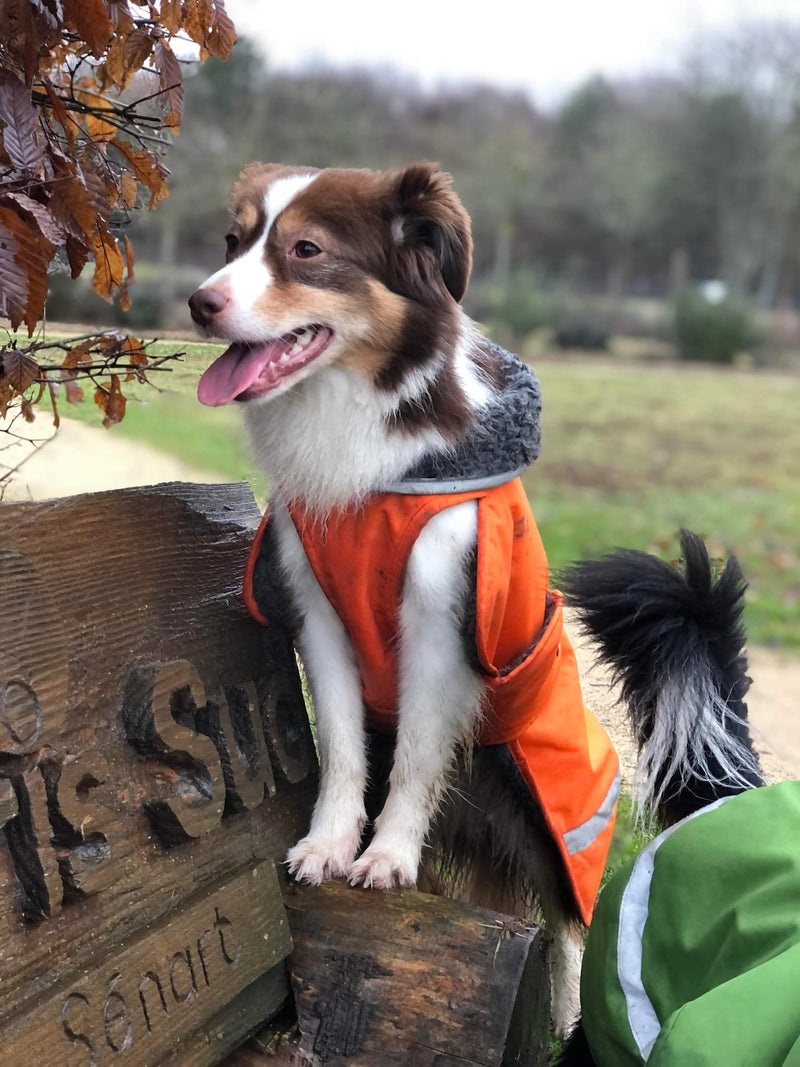 TOPPA POMPPA ( temps hivernale +++)